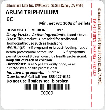 Arum Triphyllum 6C 100g.jpg Arum Triphyllum 6C 100g - Arum Triphyllum 6C 100g